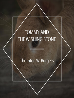 cover image of Tommy and the Wishing Stone